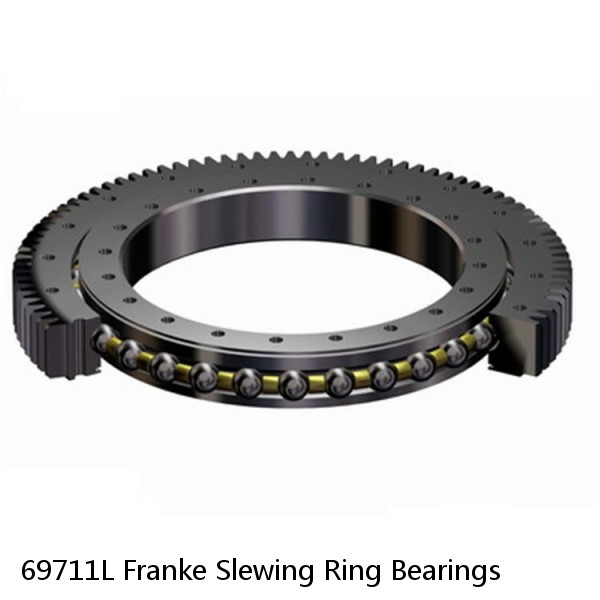 69711L Franke Slewing Ring Bearings