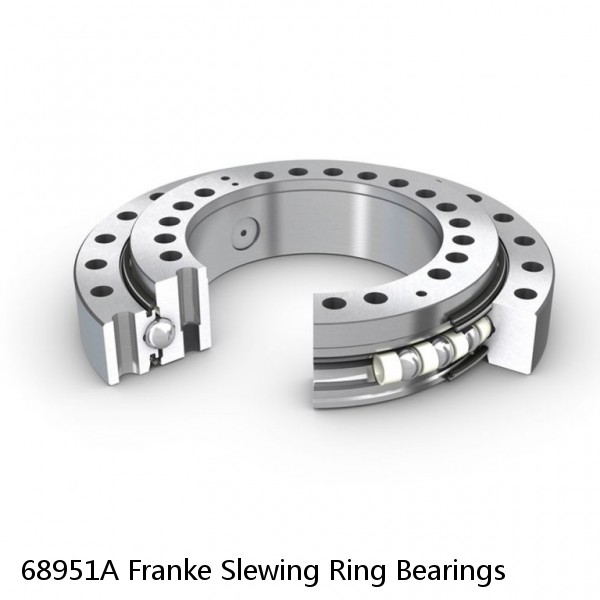 68951A Franke Slewing Ring Bearings