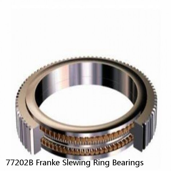 77202B Franke Slewing Ring Bearings